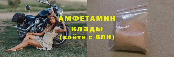 шишки Новодвинск