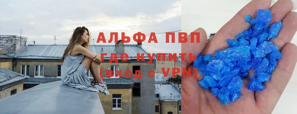 прущие грибы Бугульма