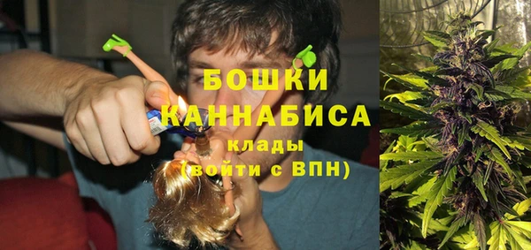 мдпв Верхний Тагил