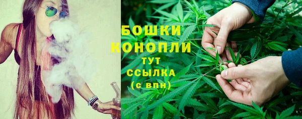 spice Богородицк