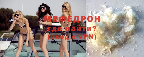spice Богородицк