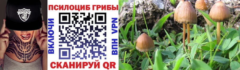 Галлюциногенные грибы прущие грибы Балей