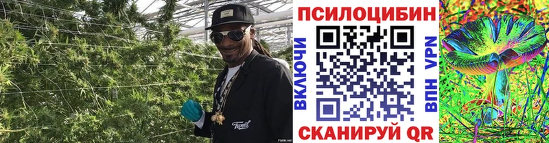 ссылка на мегу ONION  Балей  Галлюциногенные грибы MAGIC MUSHROOMS 