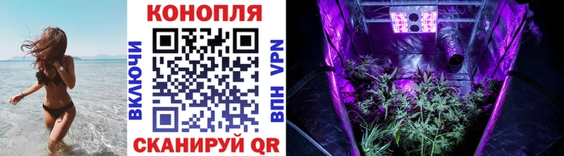 Марихуана AK-47  купить наркотики сайты  hydra как войти  Балей 